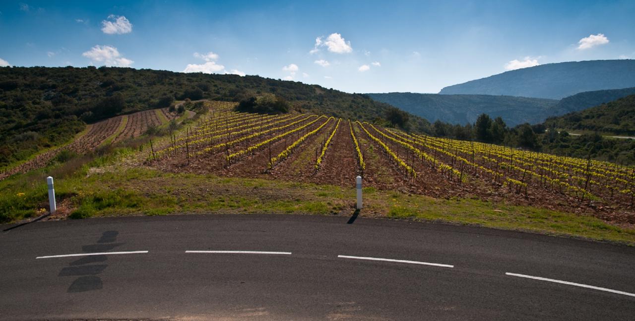 Clos Padulis -Aop Fitou 