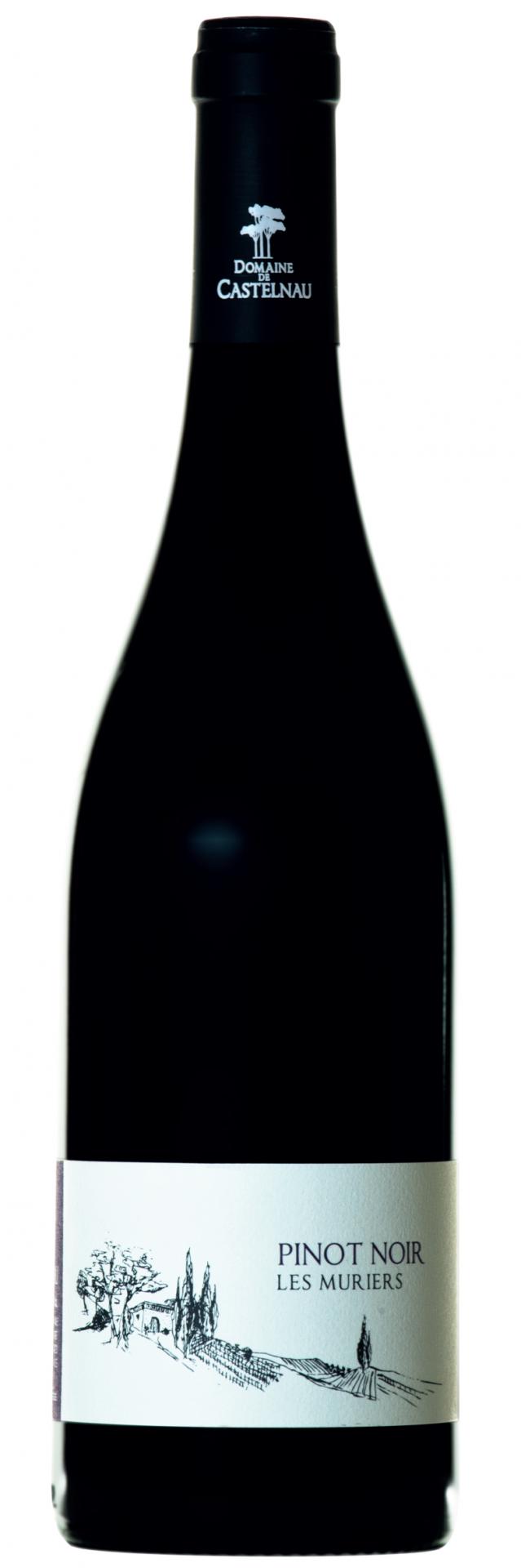 Pinot noir 1